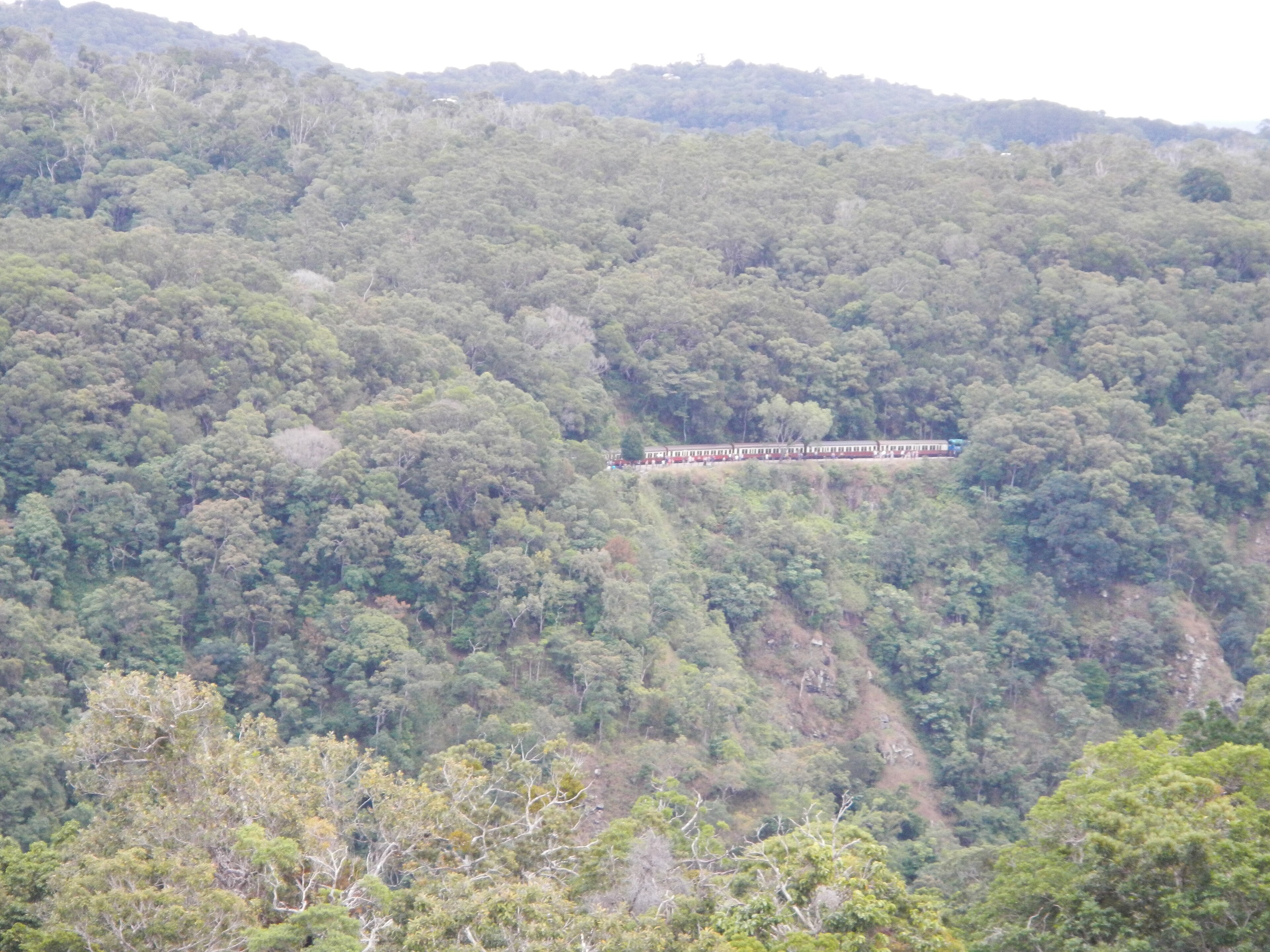 Diwan, Daintree, Australia