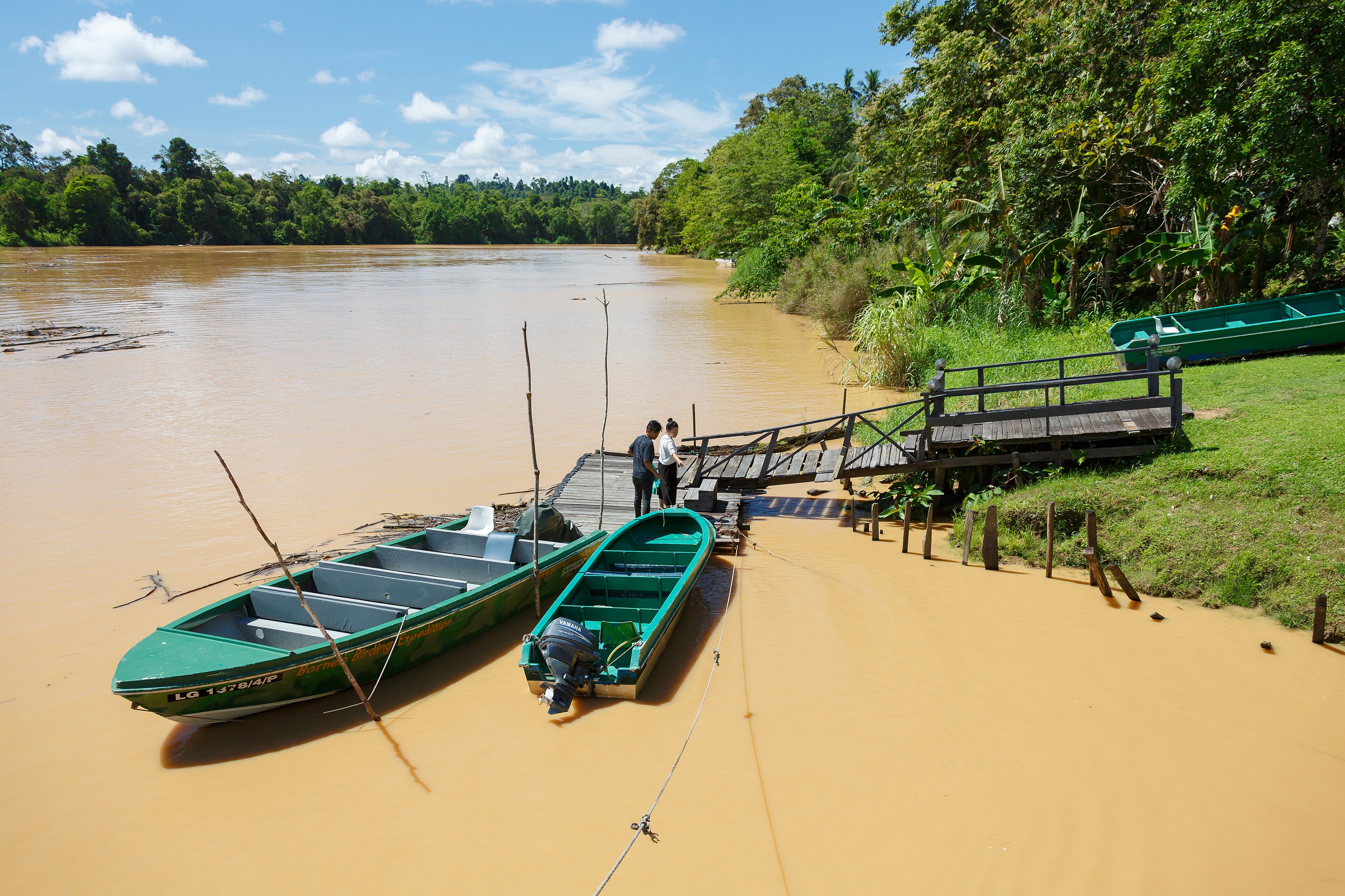 Kinabatangan River, Sabah, Malaysia