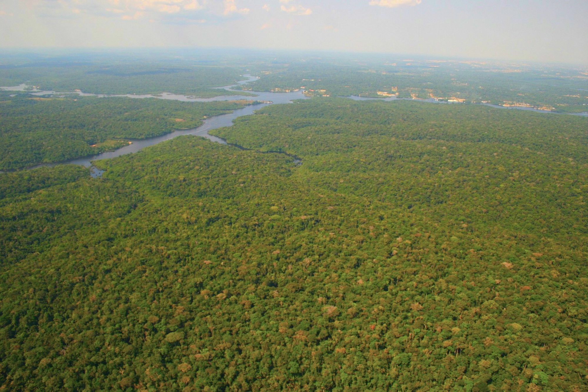 Lake Acajatuba (Iranduba), Rio Negro, Amazonas landscape