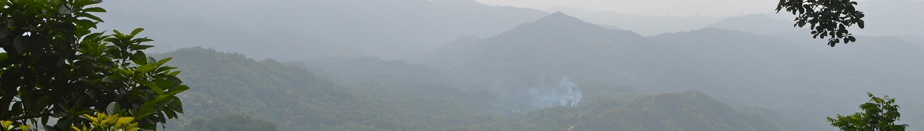 Colombia jungle