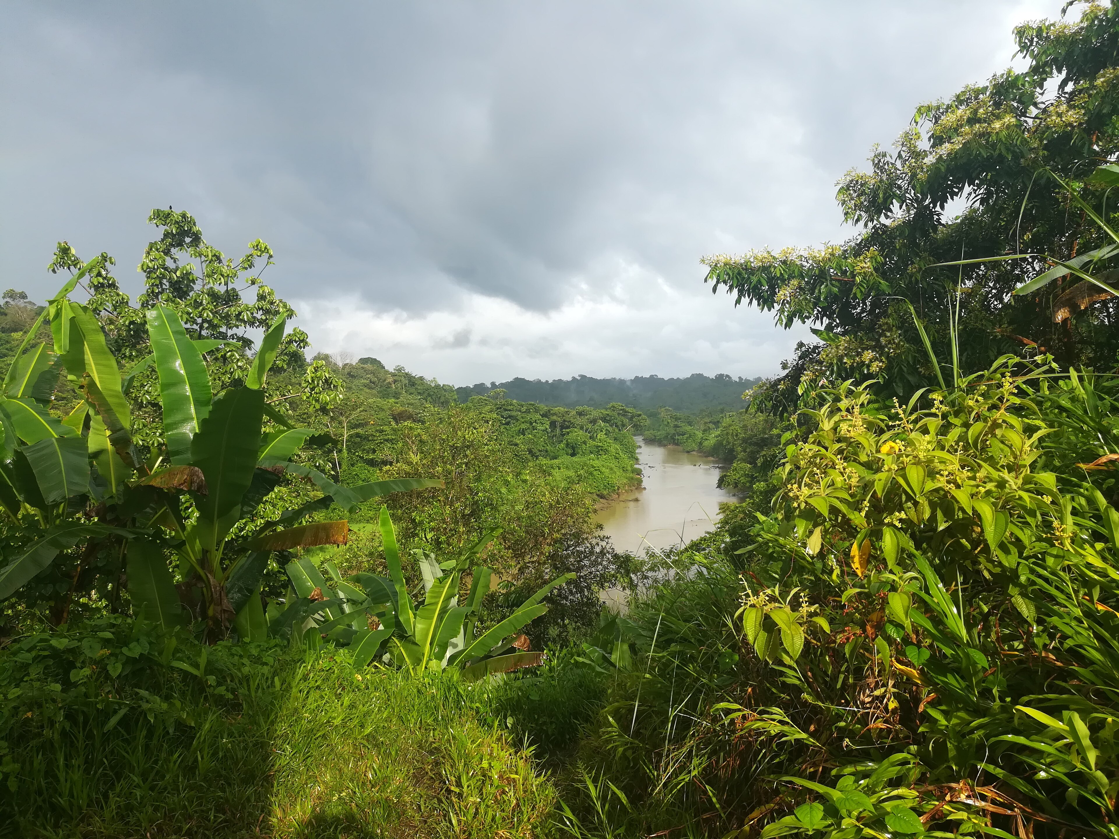 Cañaveral, Tayrona National Park, near Santa Marta landscape