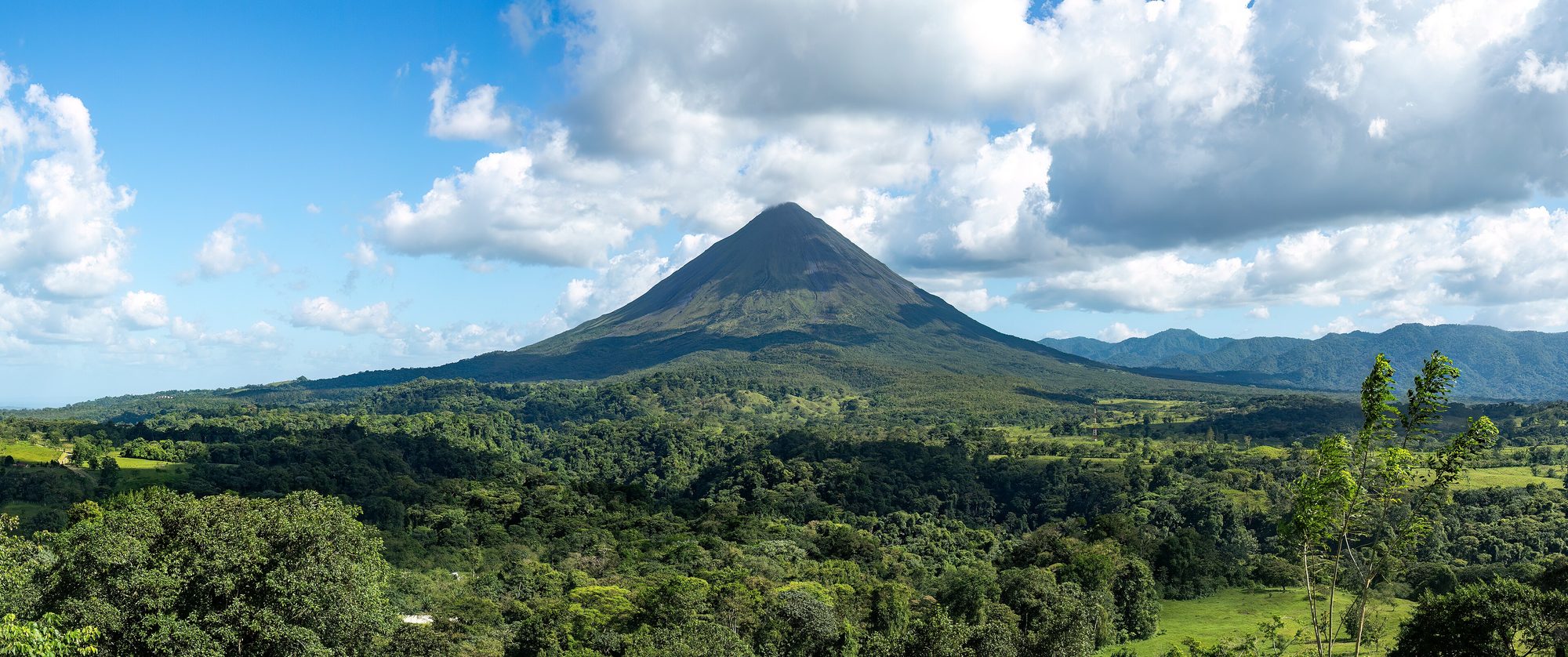 Costa Rica jungle