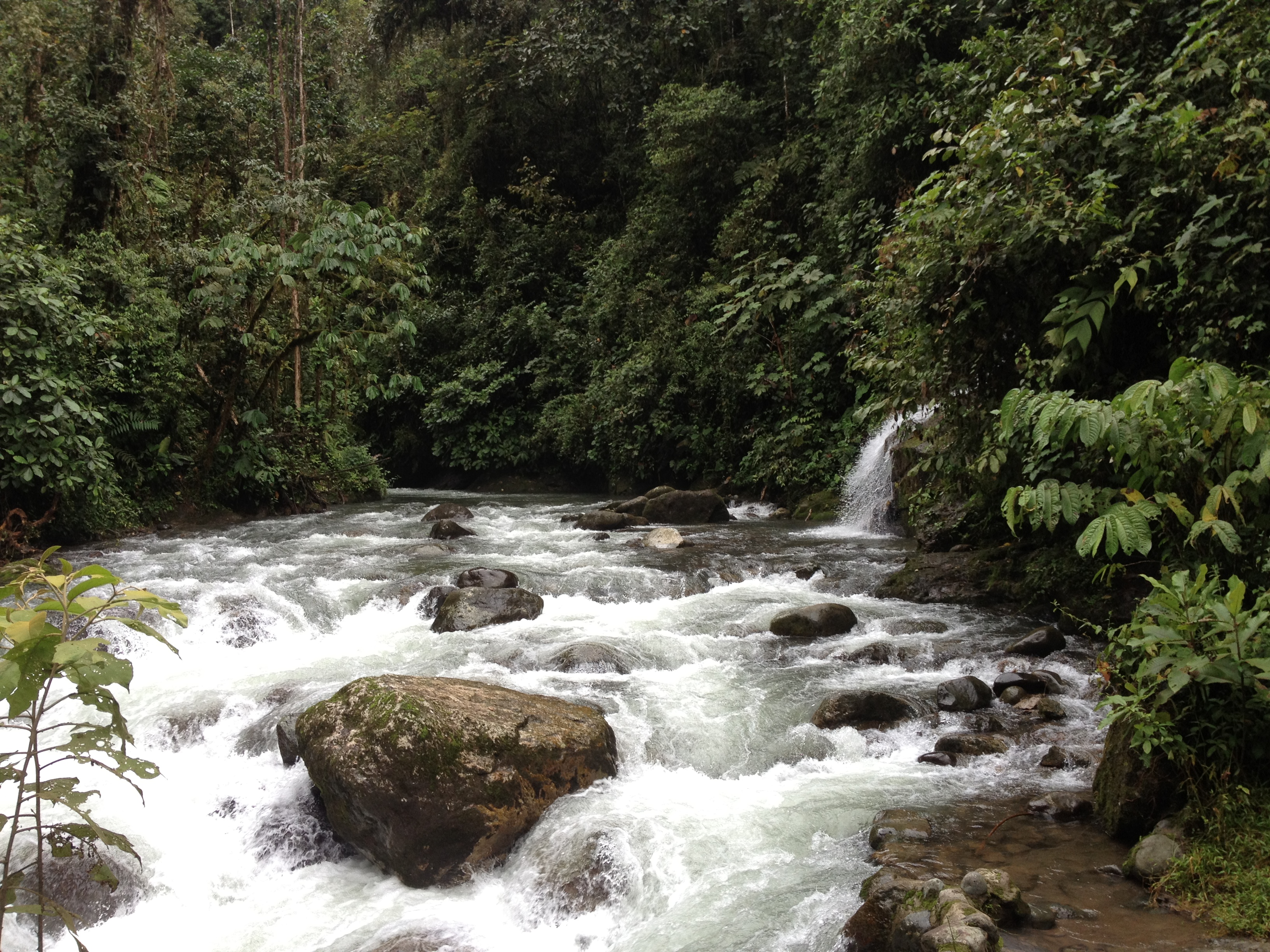 Mindo, Pichincha, Ecuador