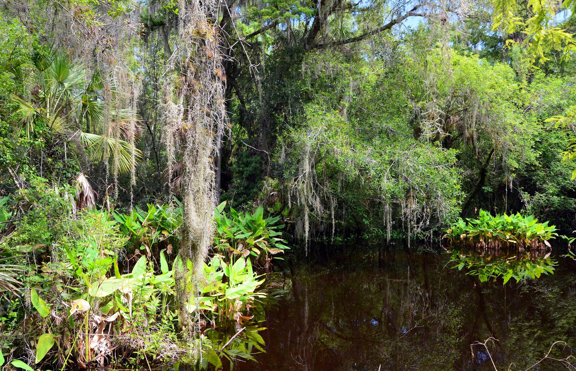 Florida
