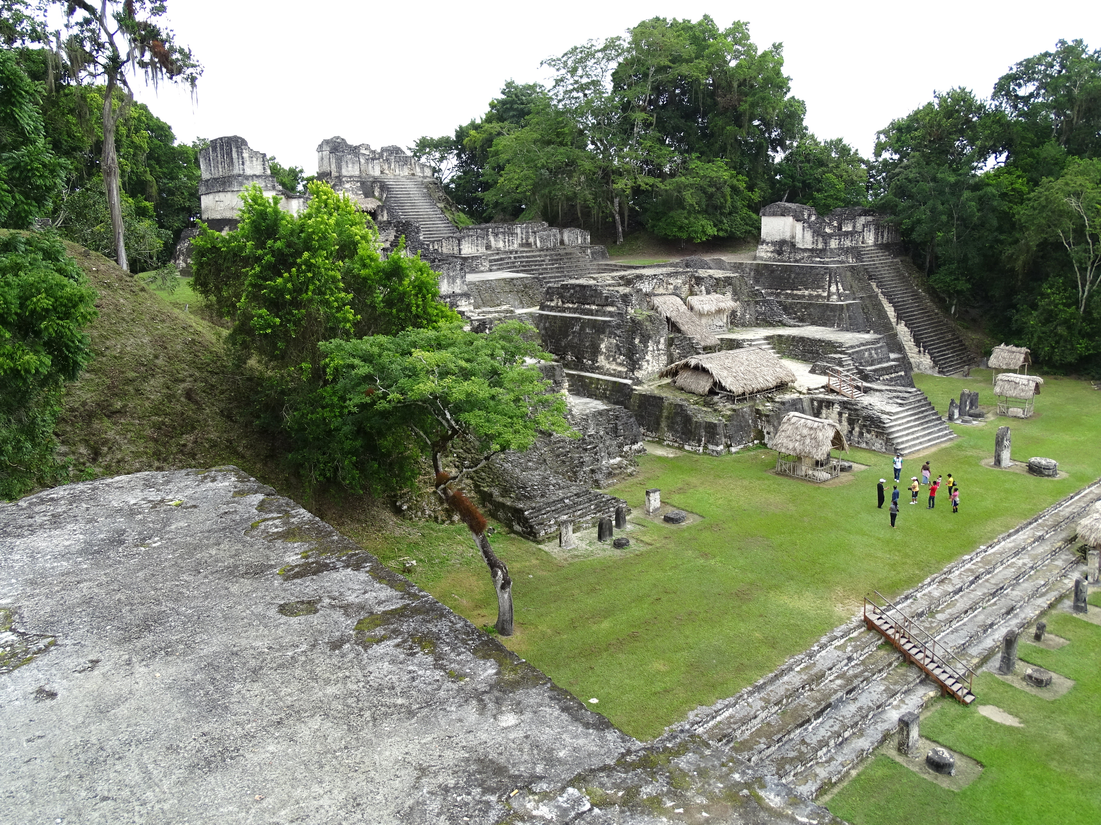 Guatemala jungle