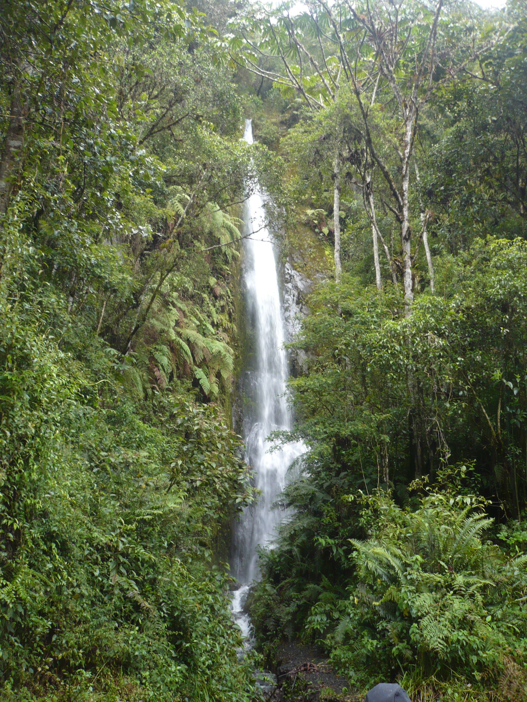 Manu road, Kosñipata cloud forest (Madre de Dios) landscape