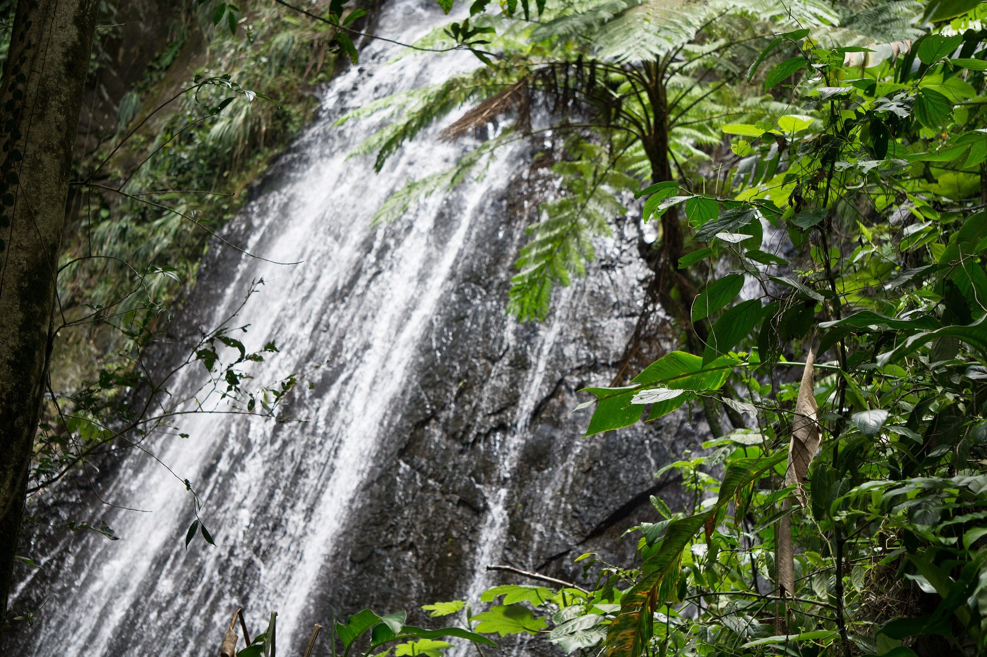 Puerto Rico