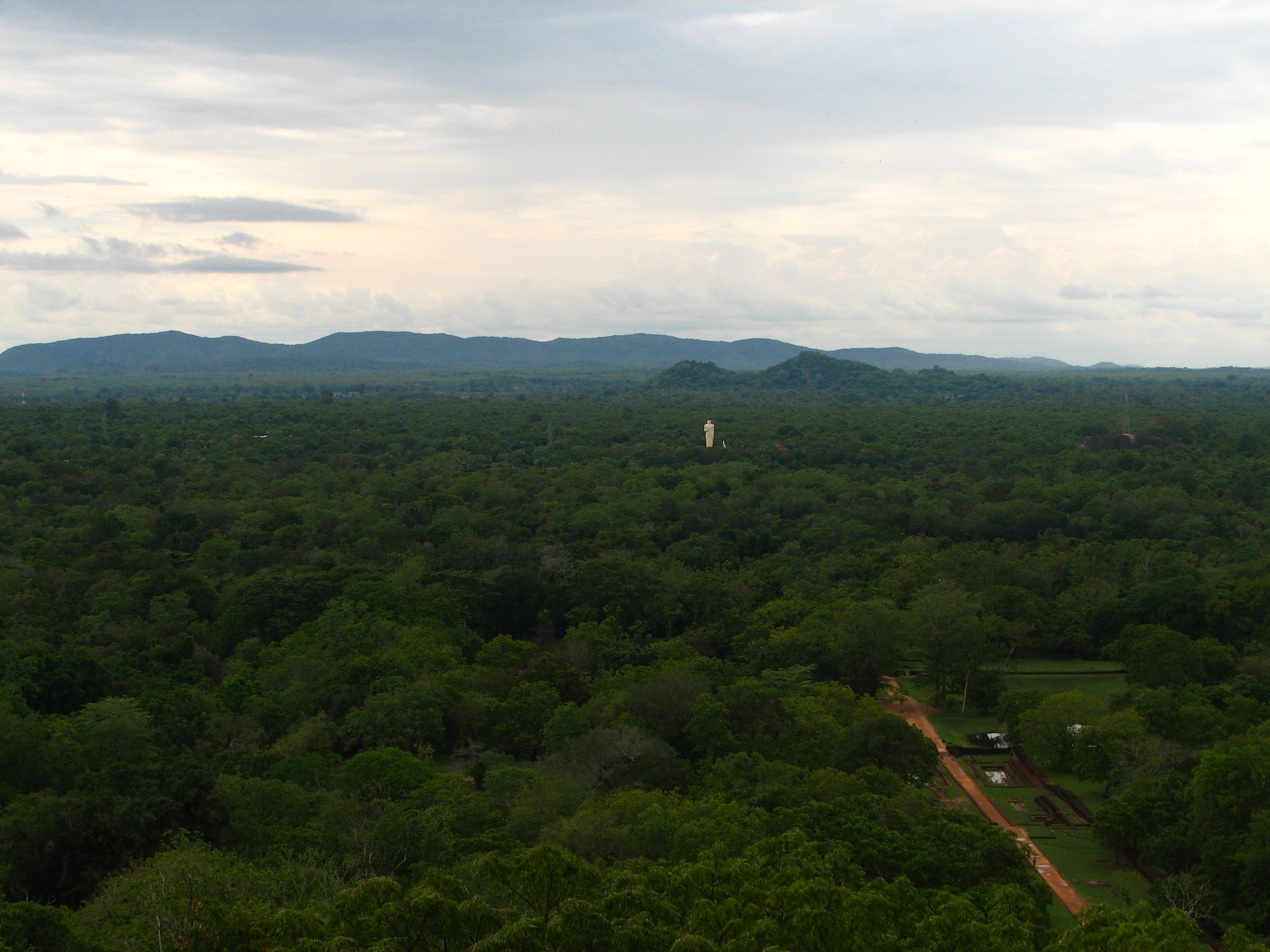 Sri Lanka jungle