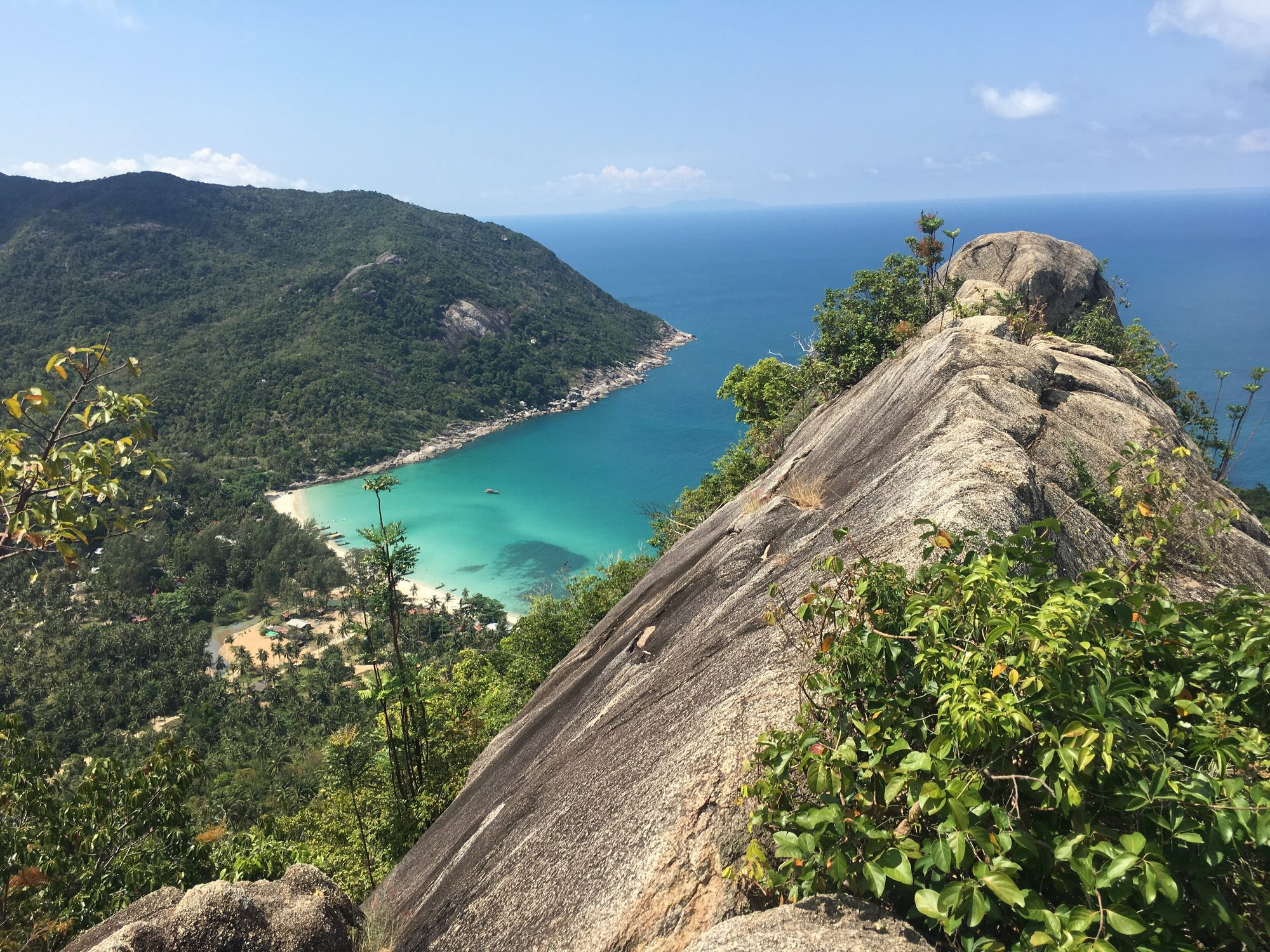 Thailand jungle