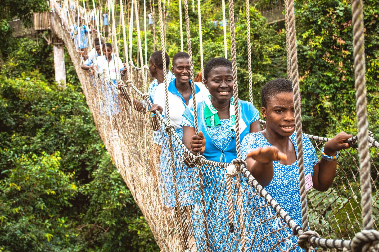 Visitors crossing a suspended canopy walkway among the treetops
