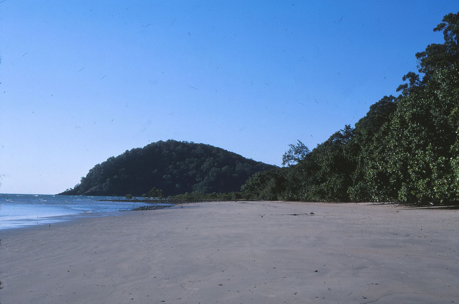 Rainforest-covered hills meeting a wide sandy beach at Cape Tribulation, Australia