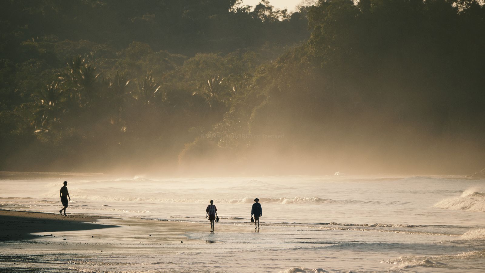 People walking on a misty beach backed by dense rainforest at first light