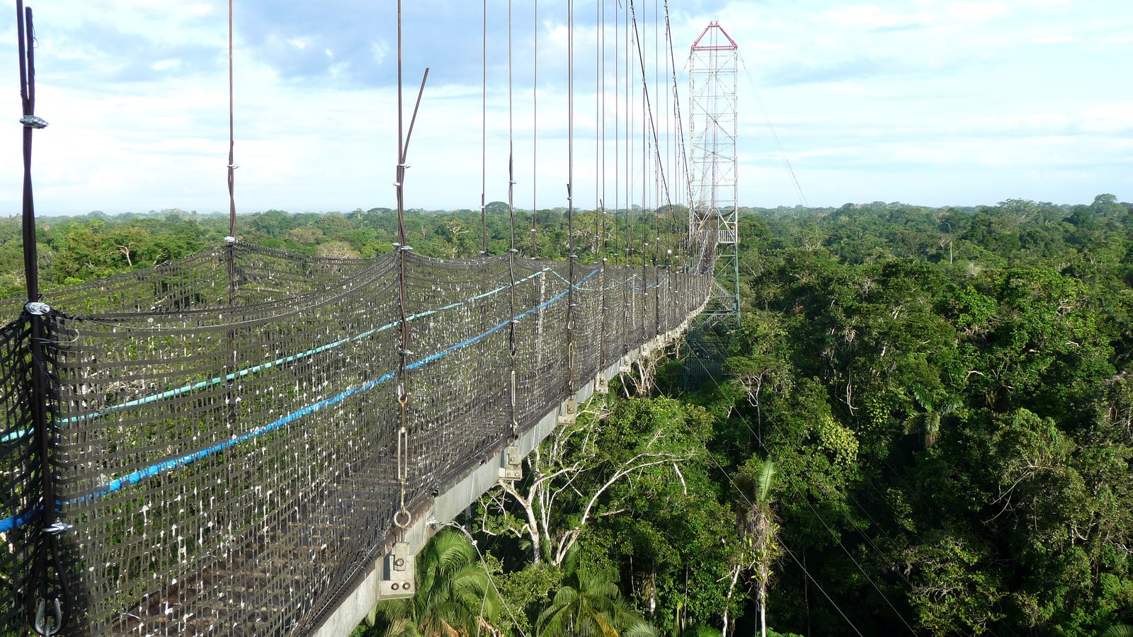 How Many Days to Spend in the Jungle