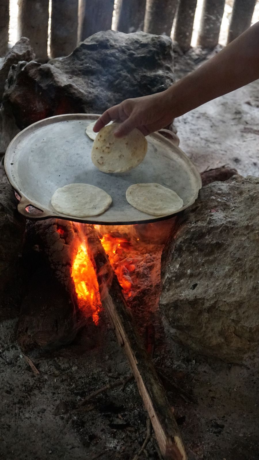 Mexico Jungle Travel Guide