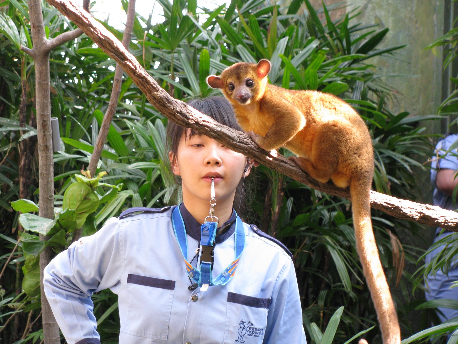 Wildlife & nature
